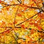 Herfstvoordeel: nieuwe folder